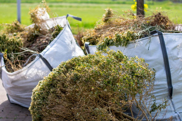 Professional Junk Removal Services in Stock Island, FL
